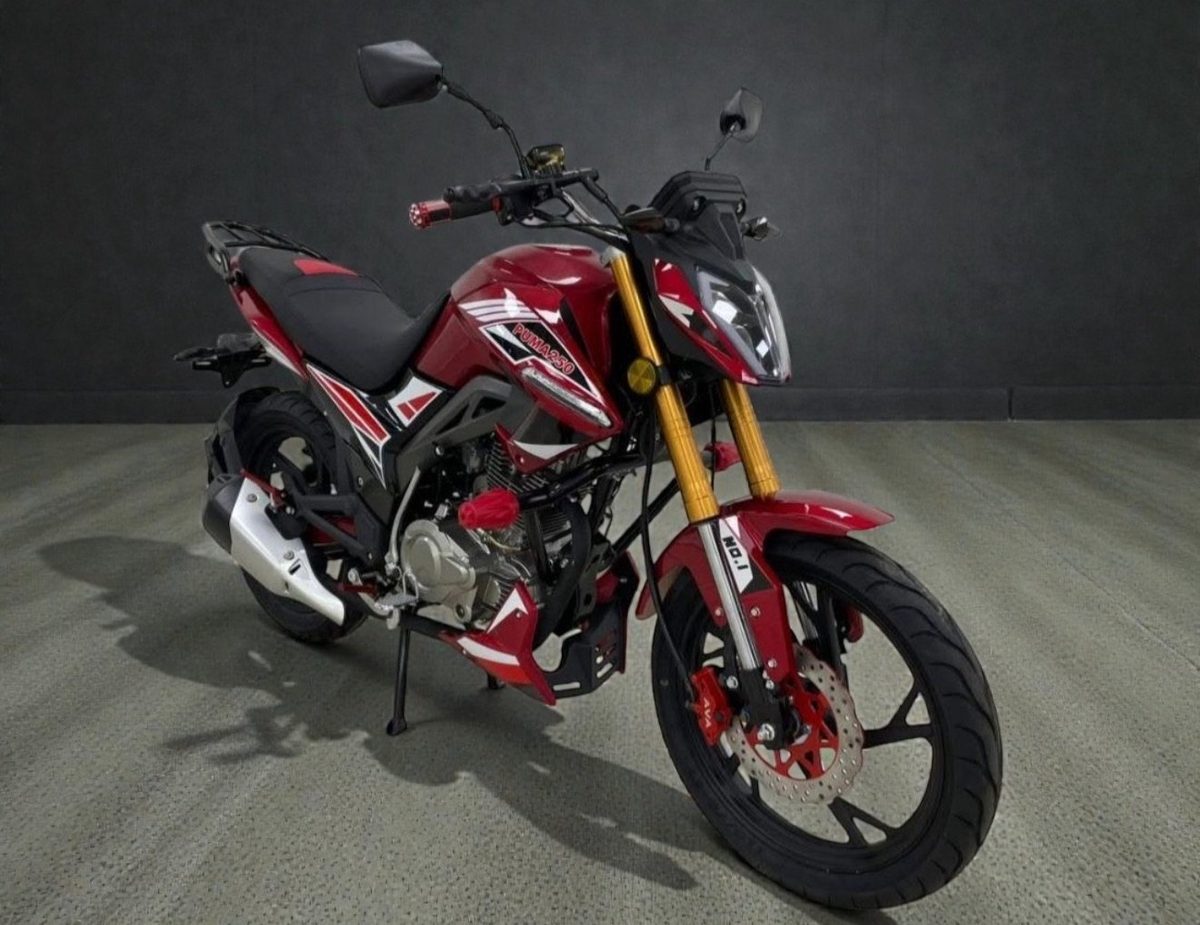 AVA PUMA 250, foto 2