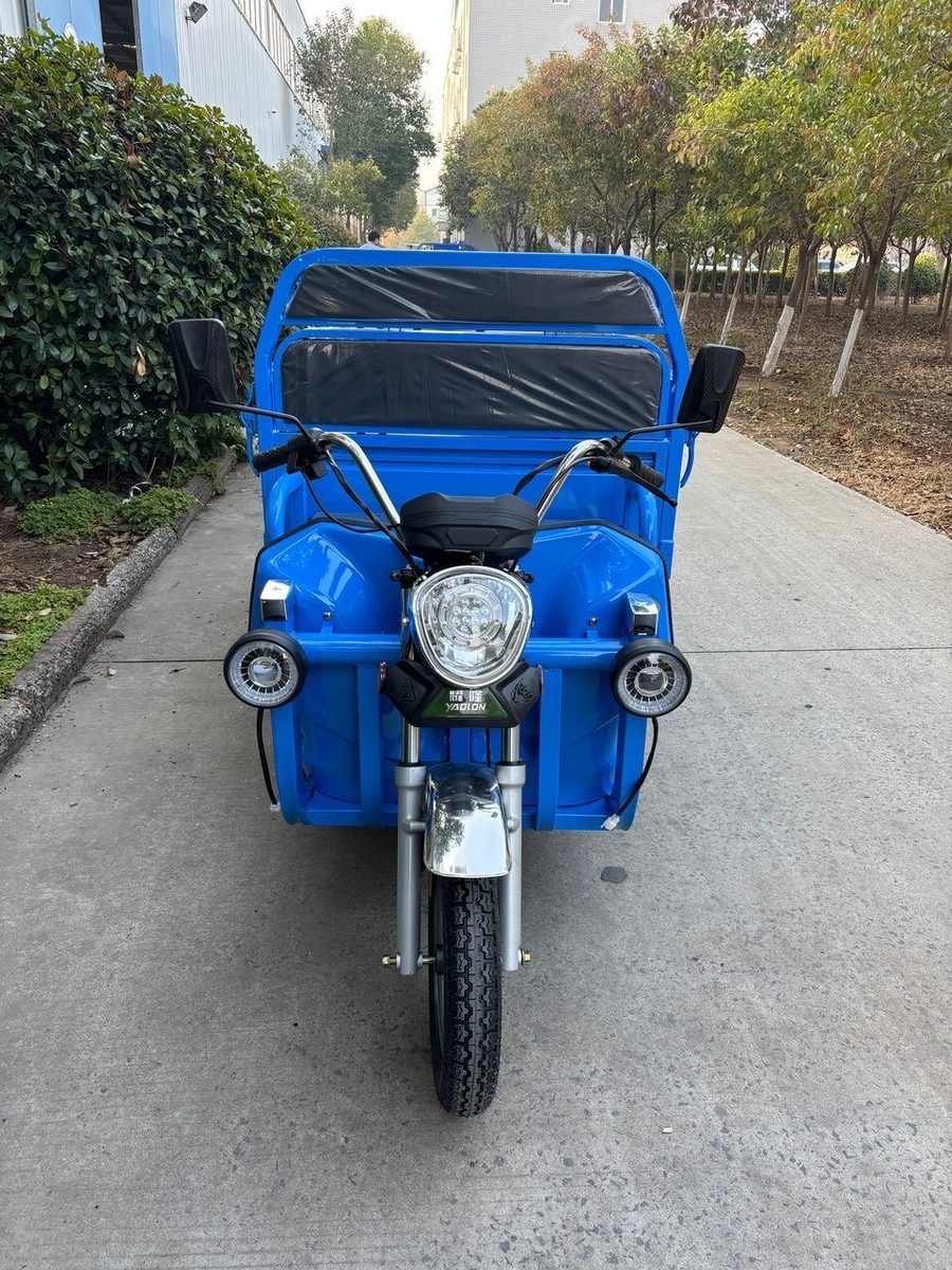 BLUE CARGA 1000W, foto 4