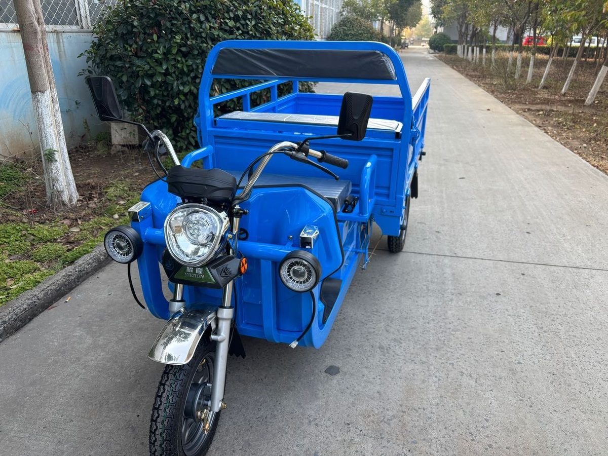 BLUE CARGA 1000W, foto 5